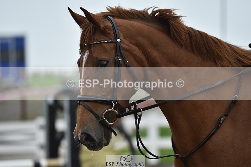 220829A-165148-00308 - 80cm Classes 5a 5b & 6