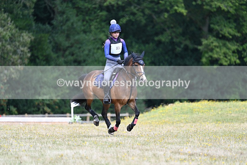 WJ7_1907 - 60cm Time 12:48 to 13:02