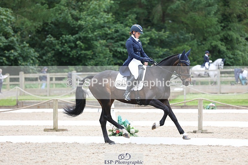 240524-164156-11102 - 372-PENCOS_CROWN_JEWEL-Millie_Juleff