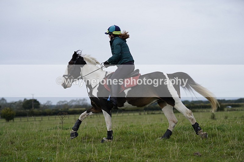 _DSC5473 - Time at Photographer 09:16 to 09:37