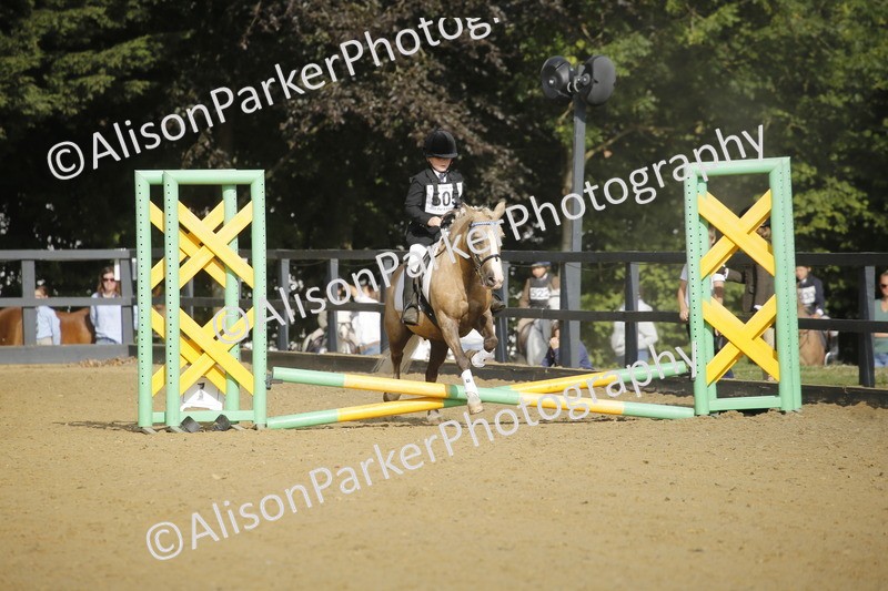 20250622-1181 - 40cm