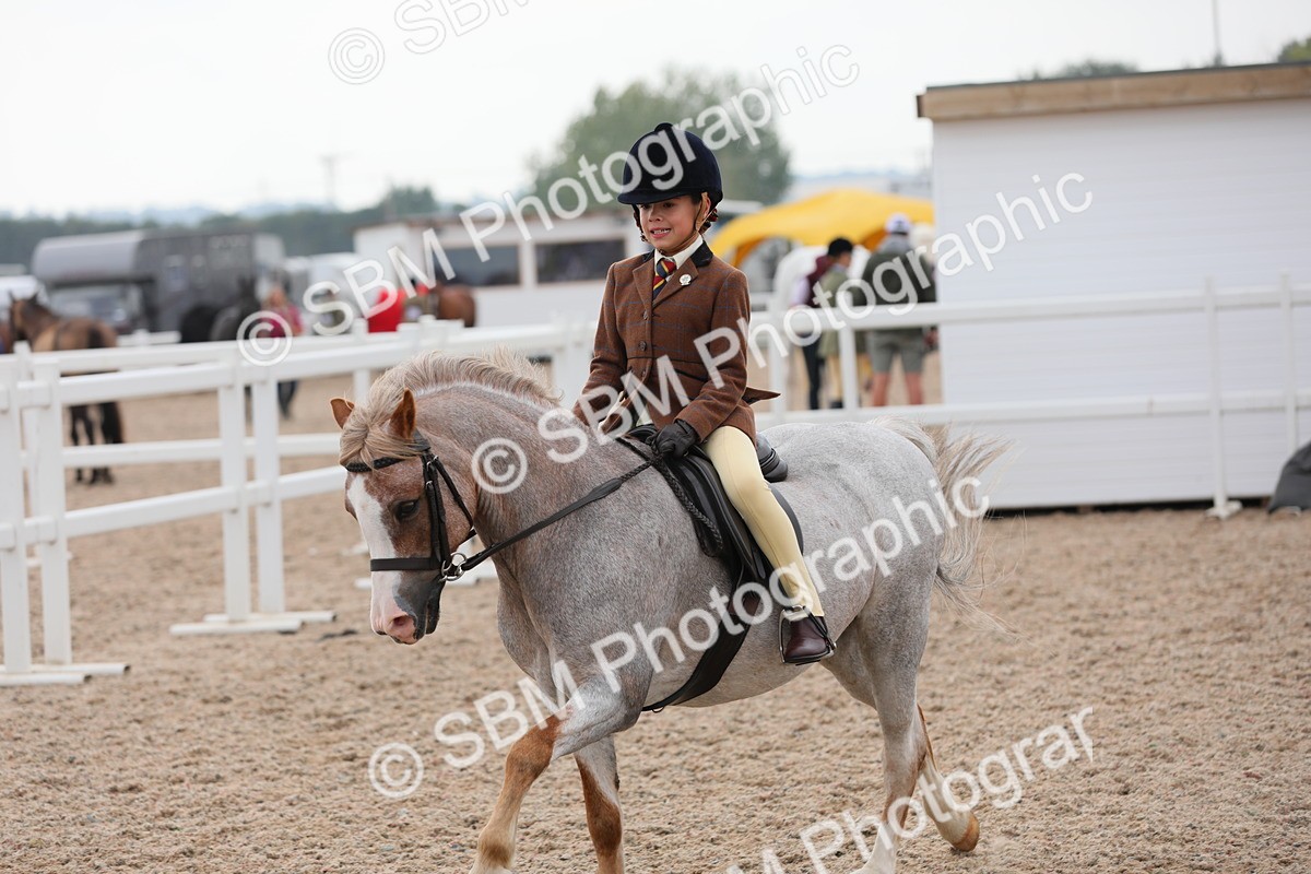 SBM_12718 - Class 307 Ridden Coloured Pony