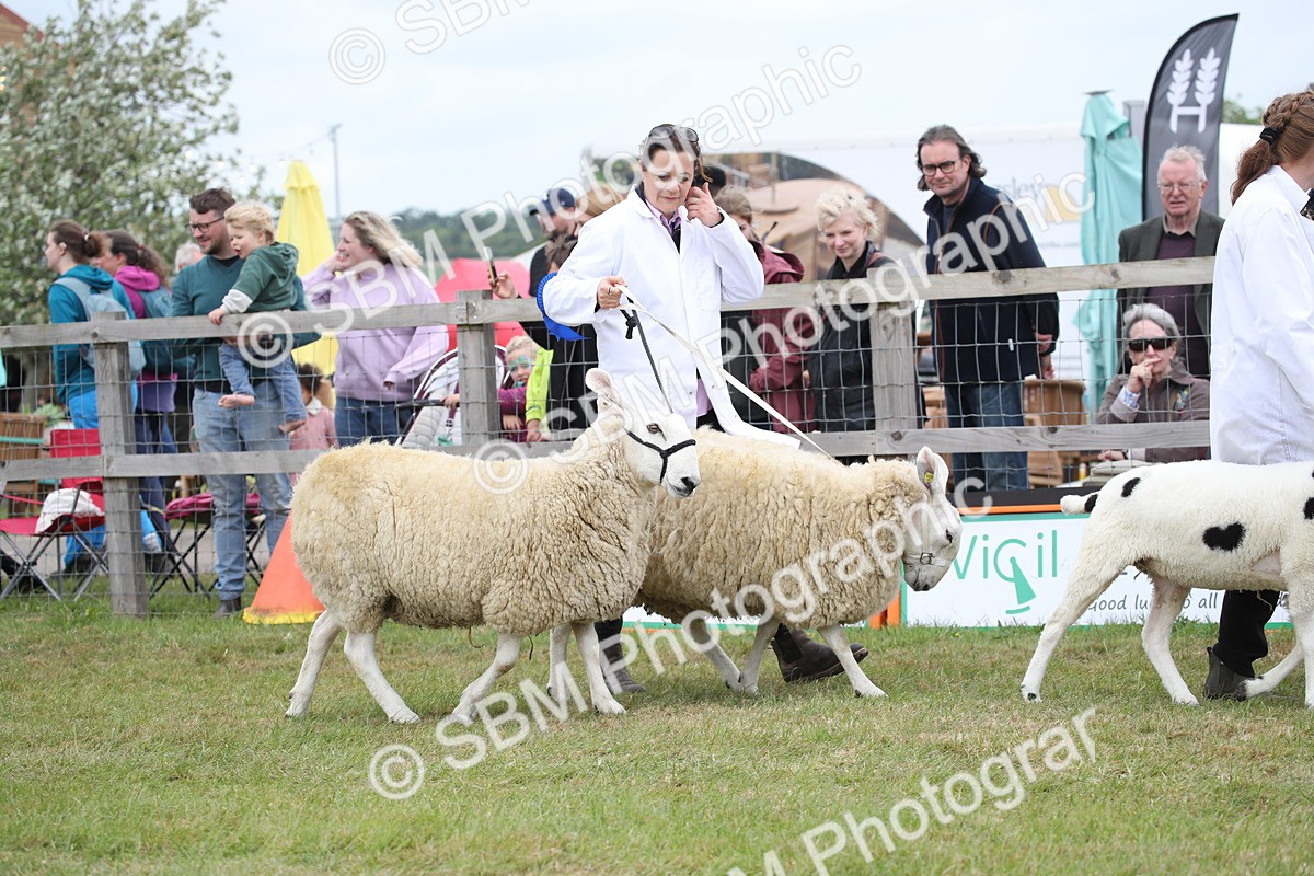 SBM_07788 - Grand Parade
