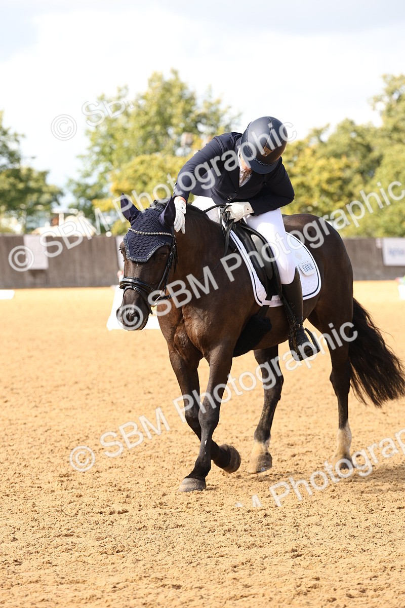 SBM_47529 - D12 - Small Tour Championship prelim 2