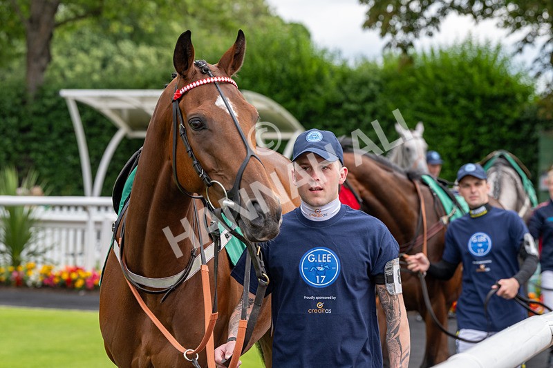 260724-Graham Lee Stable Staff Stakes-2974 - Graham Lee Stable Staff Stakes