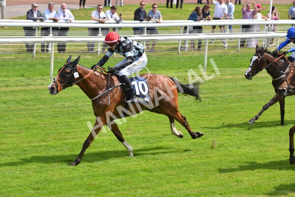 yr09072021r1-29 - Race 1: 2.05pm williamhill.com Best Odds Guaranteed Handicap Stakes