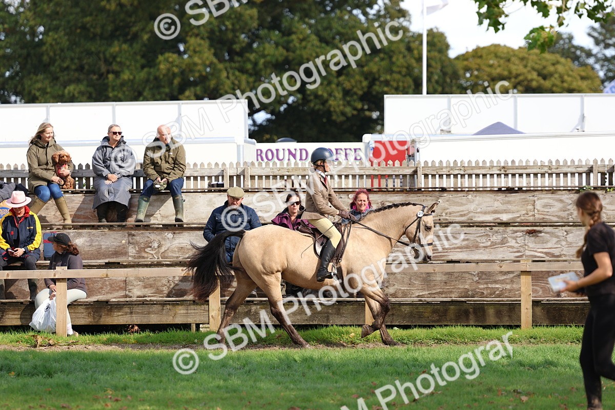 SBM_47728 - S28 - Veteran Ridden