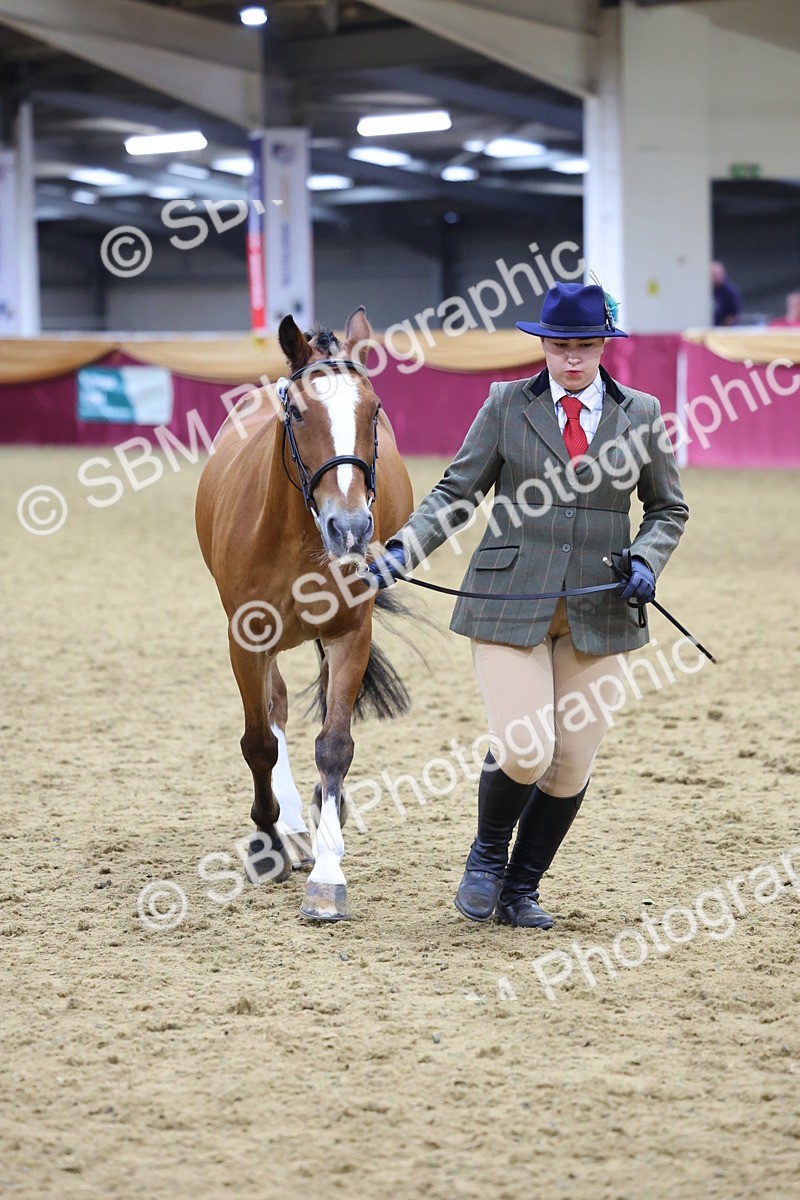 SBM_19672 - Class 901 - Supreme Final - IH Diamond