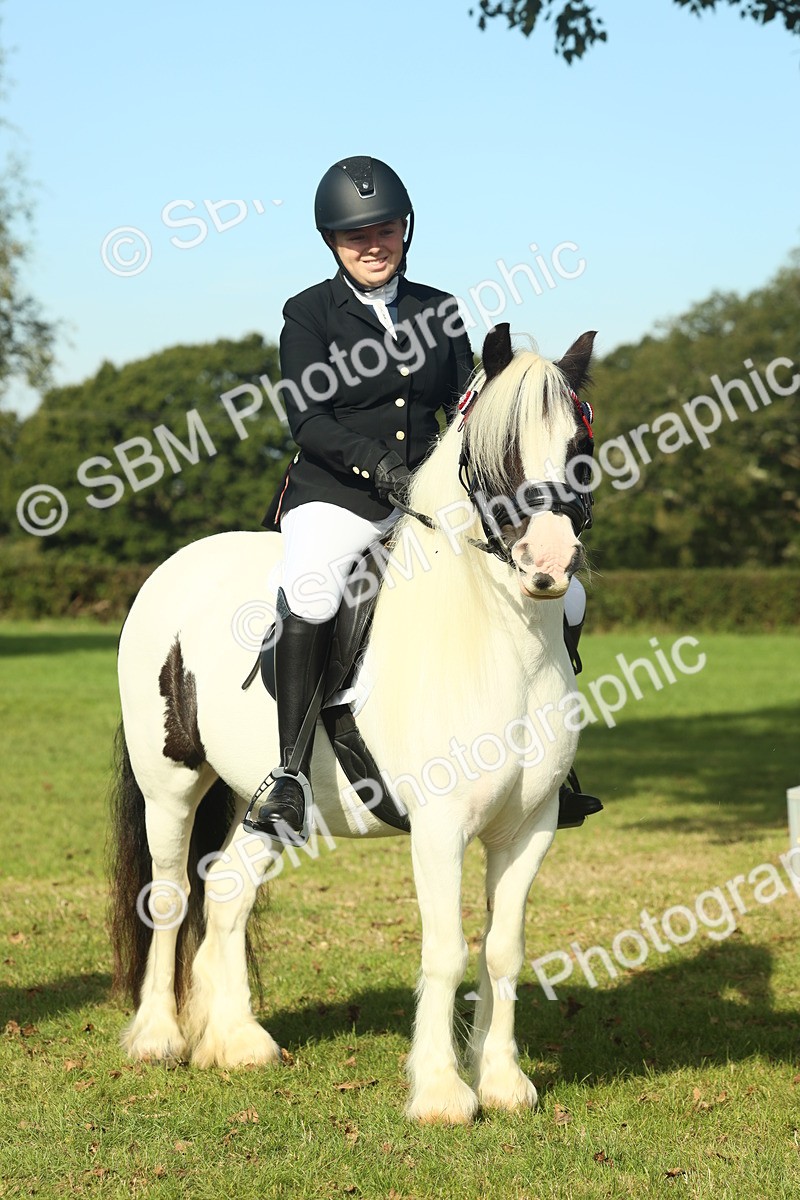 SBM_60002 - S38 - Starters Ridden Showing