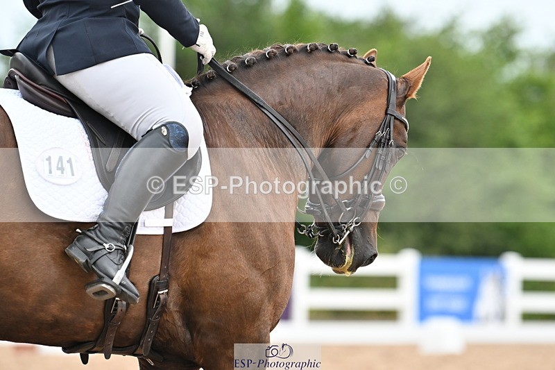 240623A-172127-20355 - Cls 57 BD Adv Medium 98