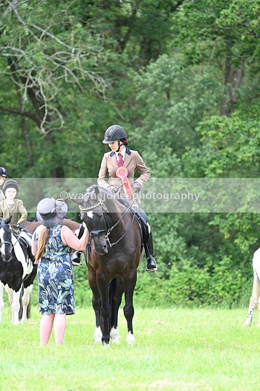 WJ7_1593 - Class 11 Condition & Turnout