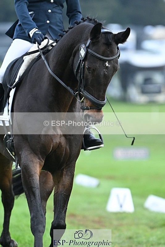 231020-094851-05770 - 465-LANGALLER.ALPHA.BRAVO-Cheryl.Beer-DR