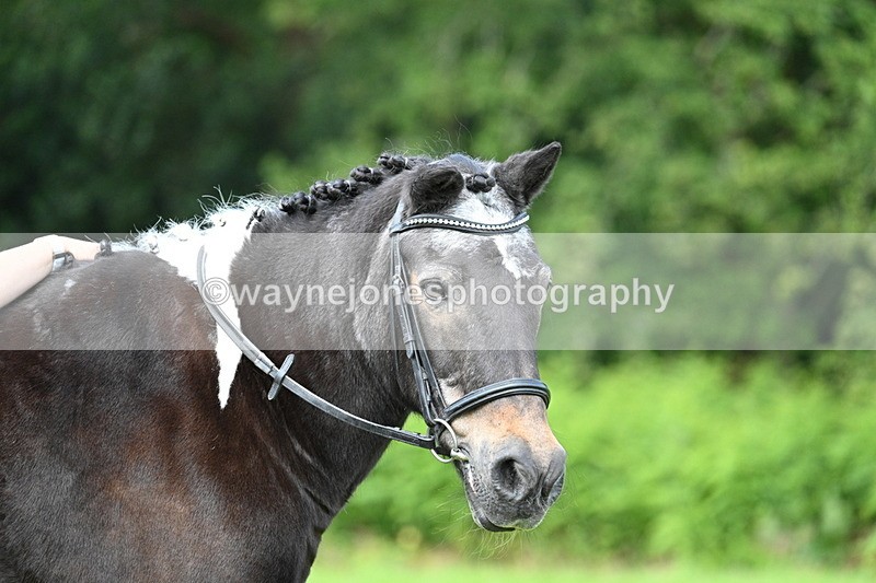 WJ7_1691 - Class 11 Condition & Turnout