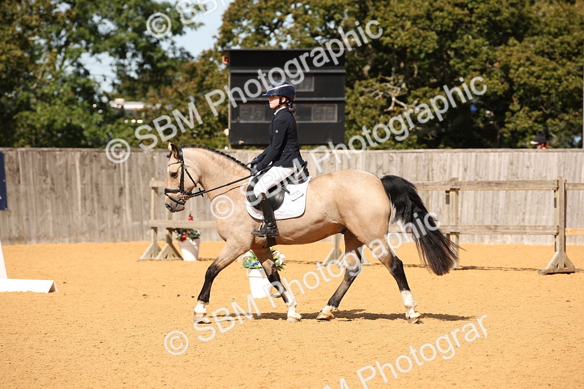 SBM_21708 - D5 - Small Tour Championship - Intro C