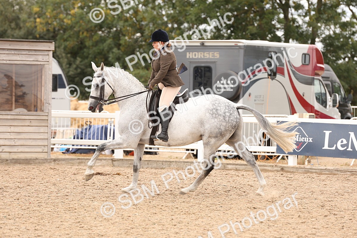 SBM_17246 - Class 213 - Ridden Hunter - Large