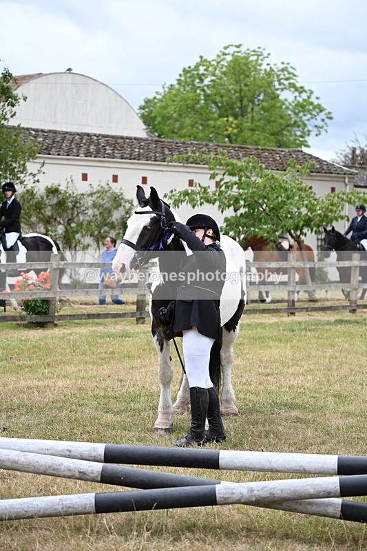 WJ6_4508 - Class 10 Coloured In-hand