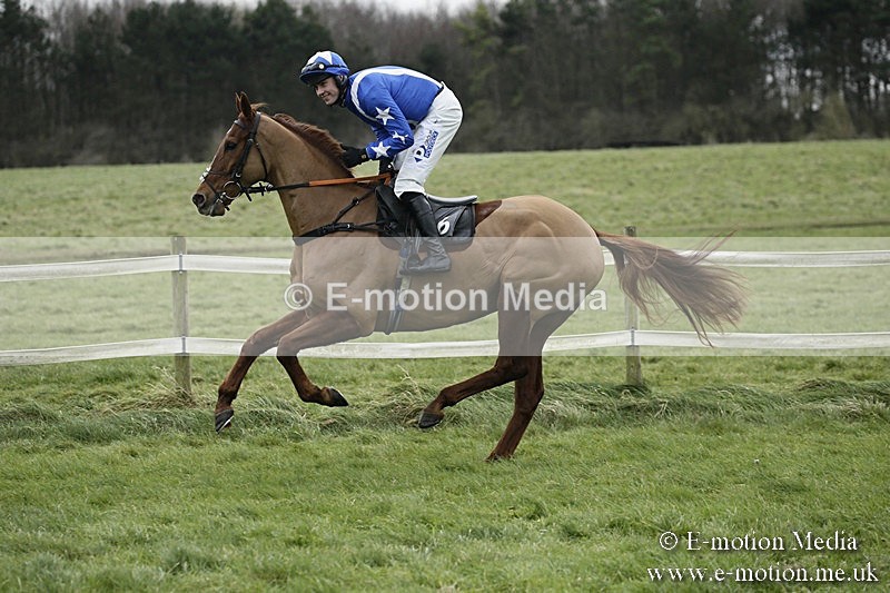 PtP 031217 261 - Hursley Hambledon Point-to-Point Larkhill 03/12/17