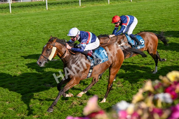 240824-Race 7-Sir Busker-2001 - Race 7 5.20pm Sky Bet Finale Handicap