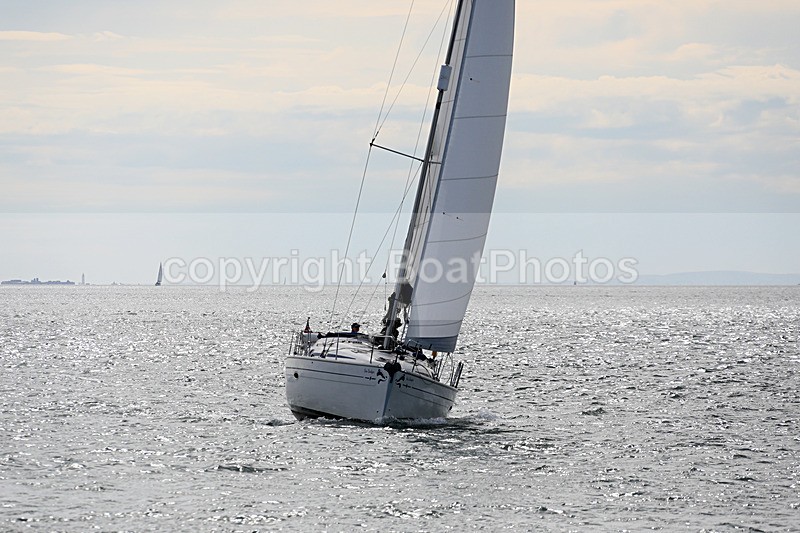 190729 SEA BADGER GBR9483T 1Y3A6692 - 190729 SEA BADGER GBR9483T