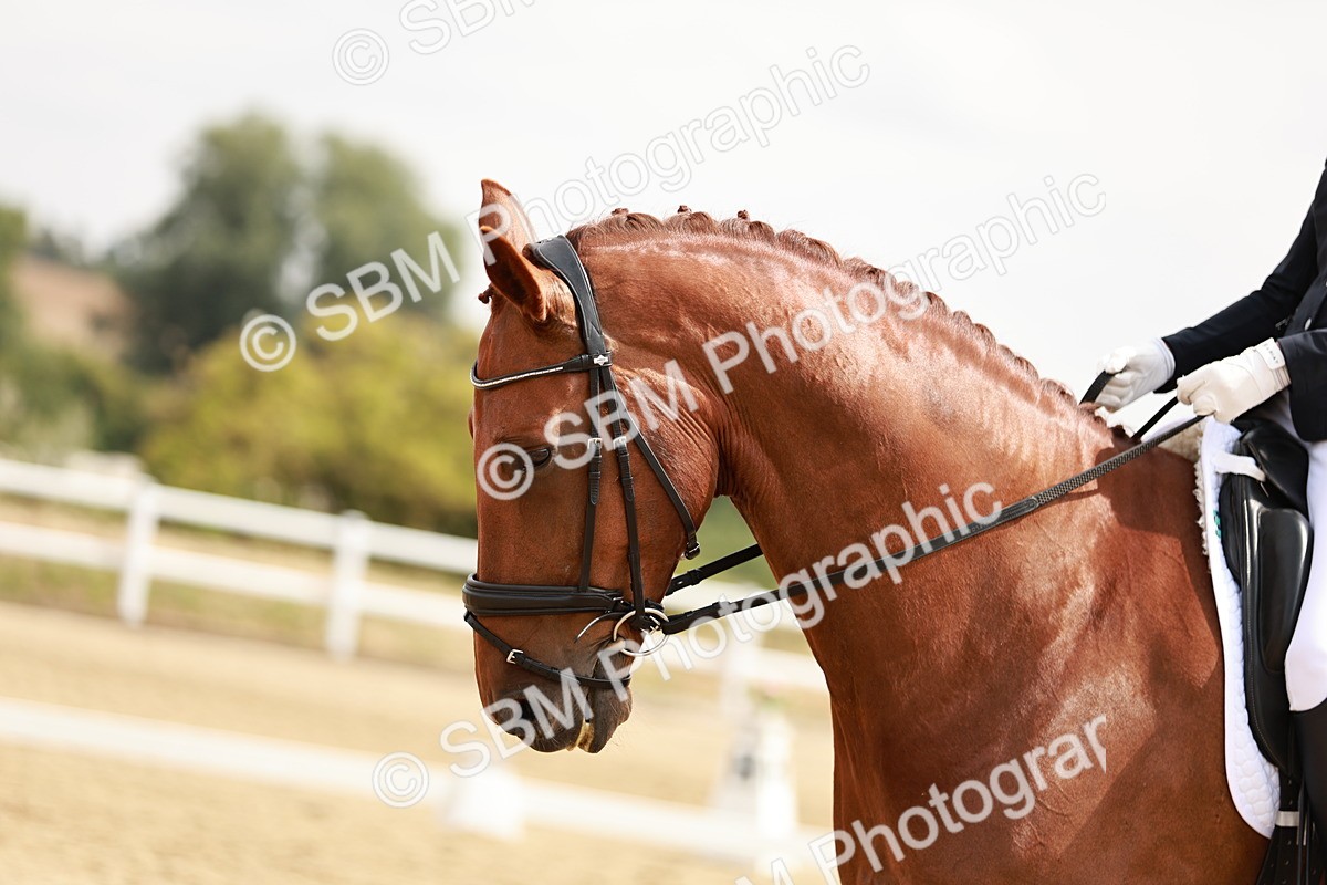 SBM_002715 - Class 6 - Novice 6 Silver - 10.17-11.20