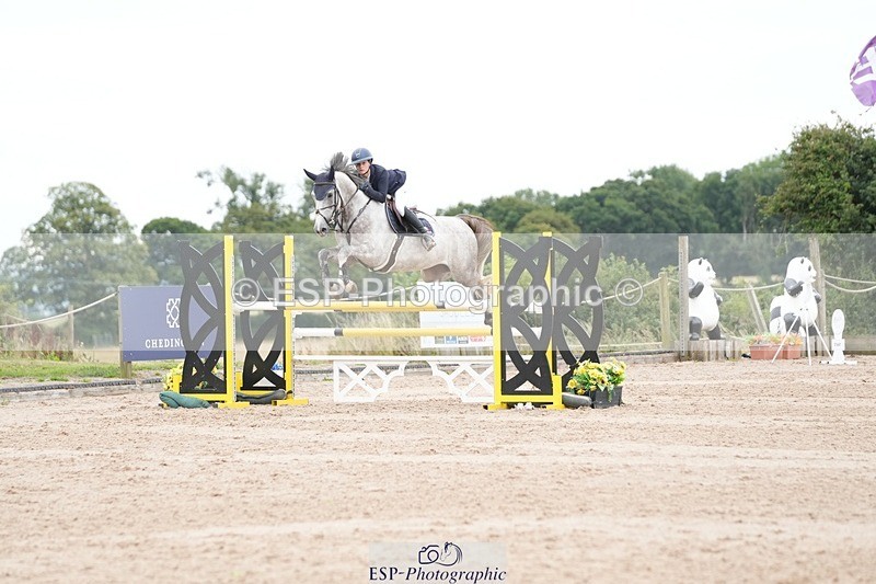 250803-122443-13067 - Cls 27 Chard Equestrian 5 Year Old Championship