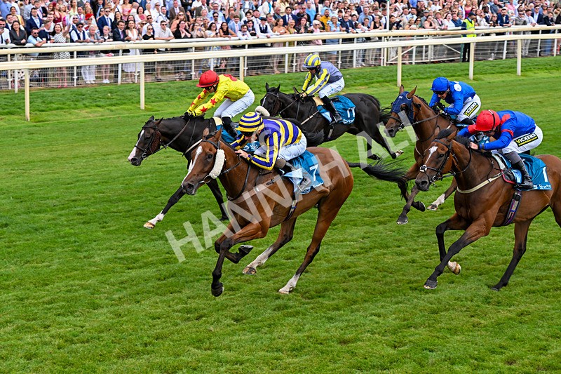 250726-Race 4-Dwindling Funds-7501 - Race 4 15.05pm Sky Bet For The Fans Handicap