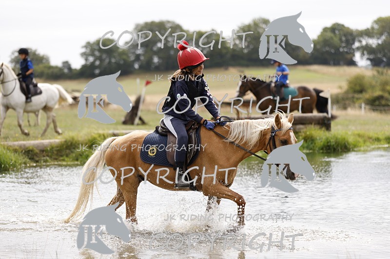 _R6A1656 - HEATHER