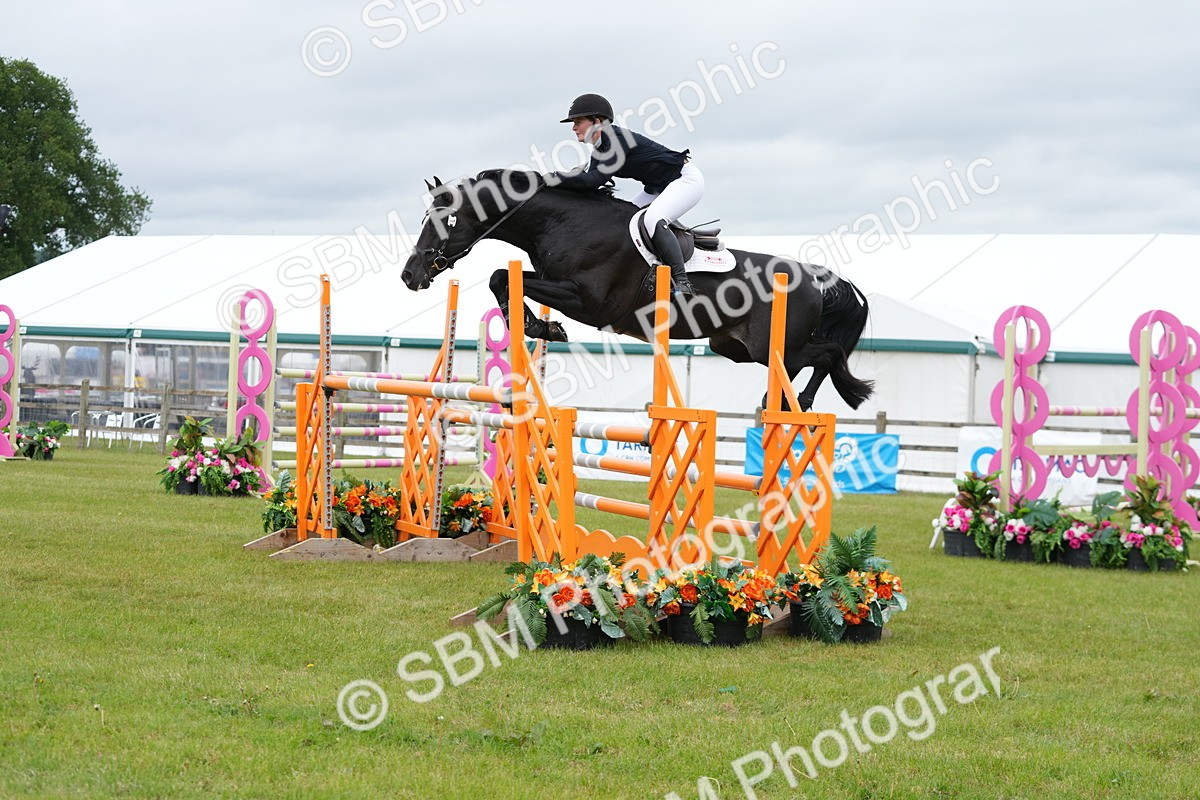 SBM_03317 - Class 201 - British Horse Feeds Speedi Beet Horse of the Year Show Grade  C