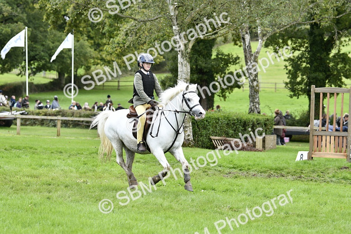 SBM_41295 - S32 - Mountain & Moorland Working Hunter Pony