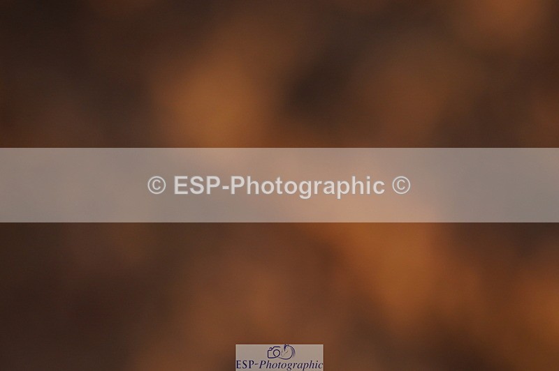 240628A-201854-01278 - Cls 4 1.10m Open