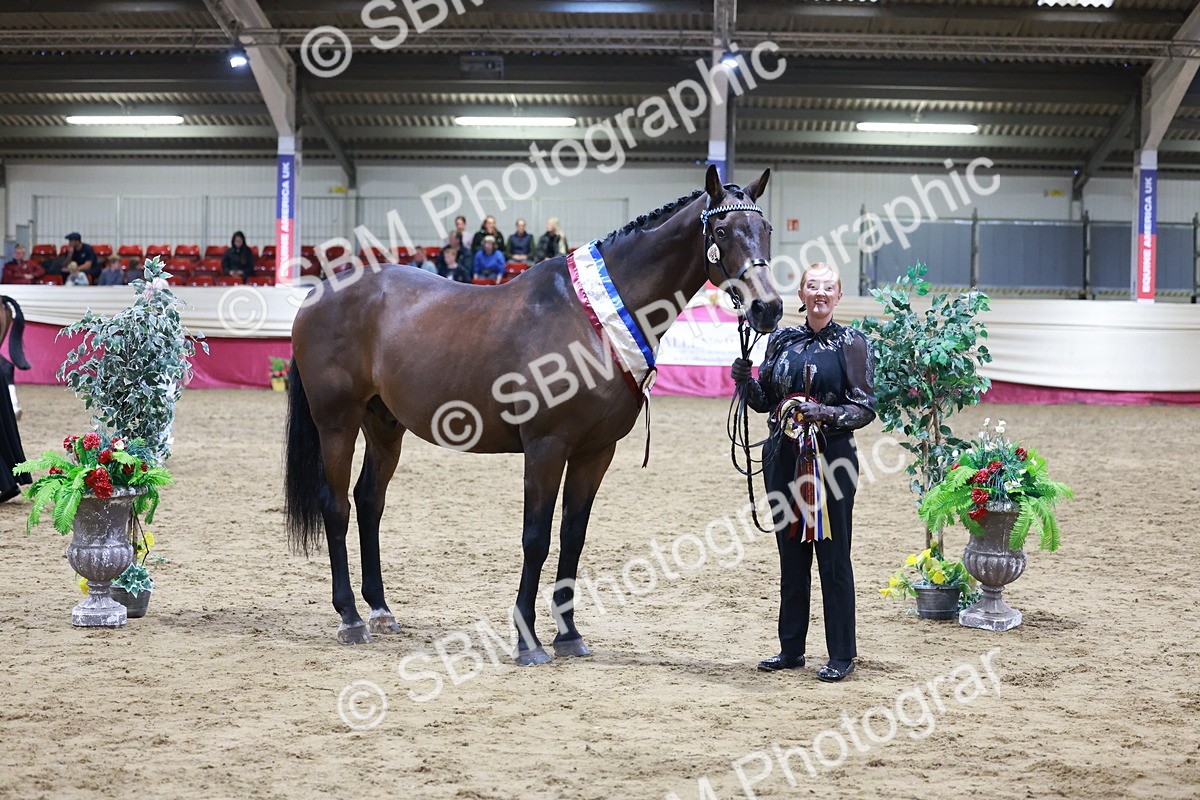 SBM_20644 - Class I - Ridden Pony Champ