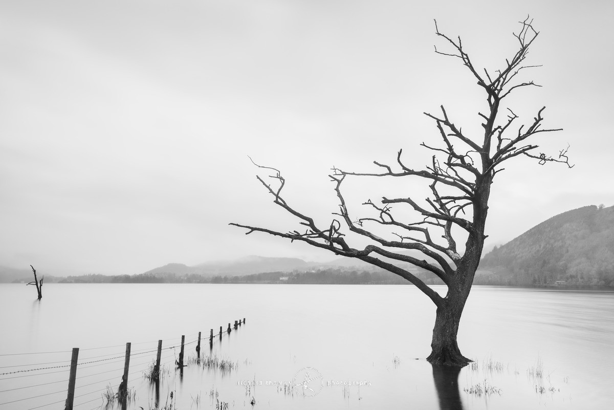 Left in Ullswater - Lake District - Ullswater Lost Trees