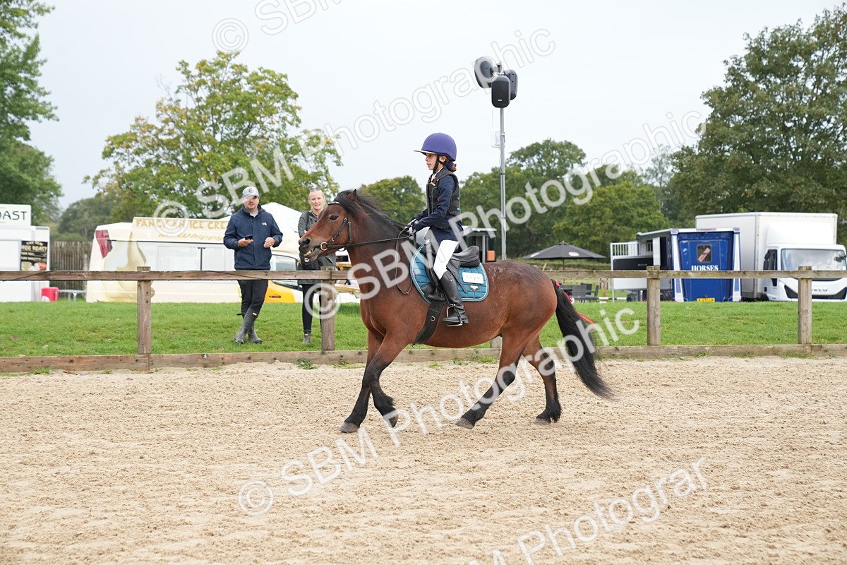 SBM_00022 - J53 - Clear Round 40cm