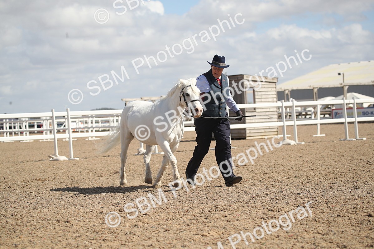 SBM_23538 - Class 605 - 2026 - Area - IH Veteran