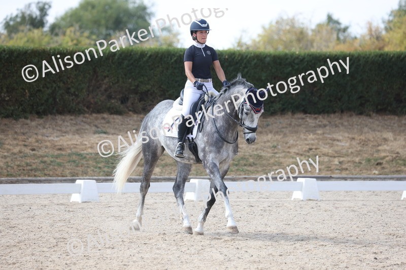20260815-1001 - Class 5 - Novice 1