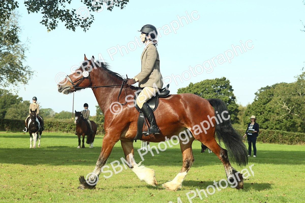 SBM_59938 - S38 - Starters Ridden Showing