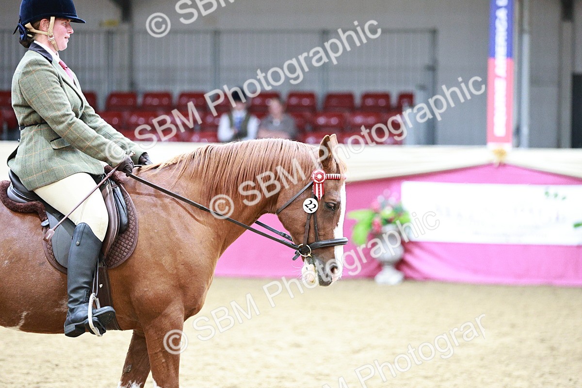 SBM_03034 - Class 5A - Area Ridden Veteran
