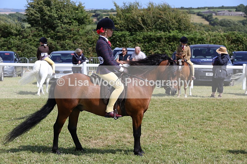 1X9A5395 - Class 37: NPS M&M First Ridden