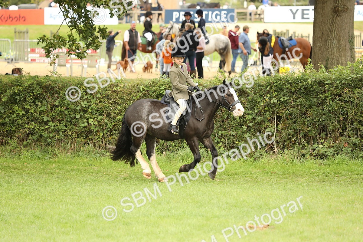 SBM_71598 - S41 - Ridden Equitation (Best Rider)