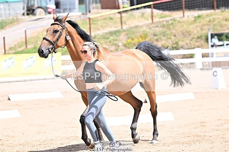250716-124603-00156 - Trot Up 12.30 to 1.30