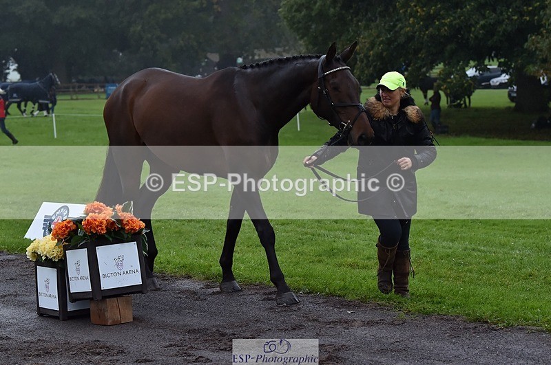 231018-120946-00109 - 012-ROMANY.CRICKET-Nana.Dalton-TrotUp