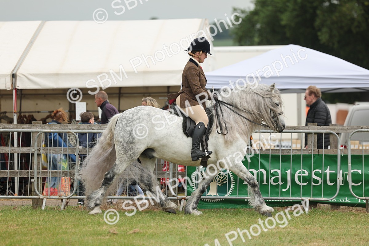 SBM_08932 - Class 78-80 - Ridden M&M Non Welsh Ponies