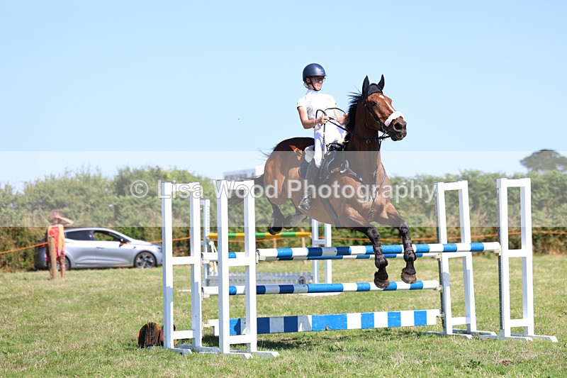 3E7A6471 - Class 13: Senior Newcomers/1.10m open