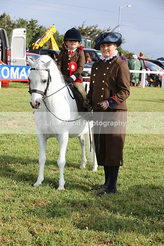 JPP_0444 - Class 14: Cornish Combination Leading Rein
