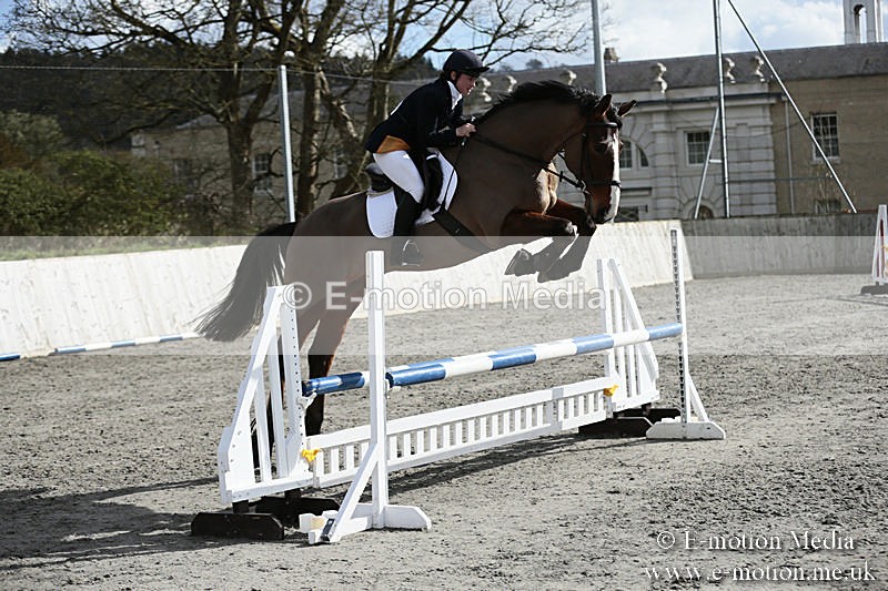 BVRC SJ 170319 687 - Bourne Valley Riding Club Showjumping 17/03/19