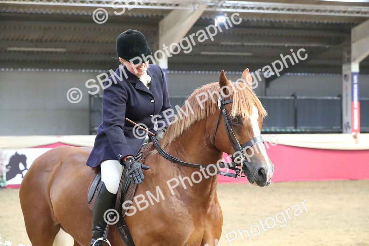 SBM_17206 - M&M Supreme Final Champ