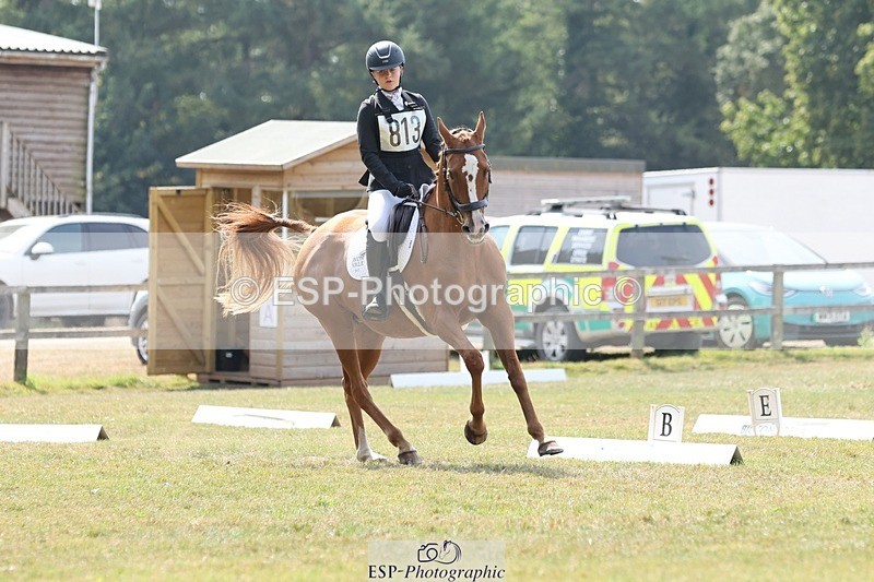 250823A-135740-31421 - Arena D