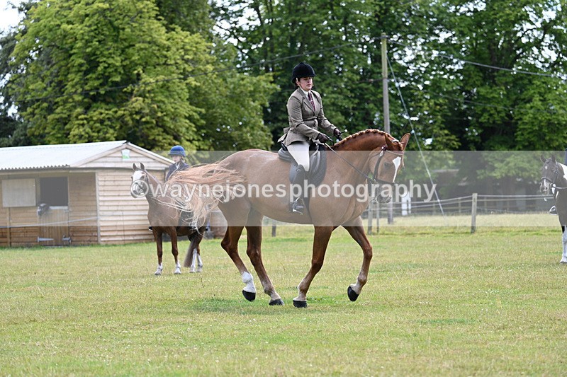 WJ7_9333 - Class 8 Ridden Veterans