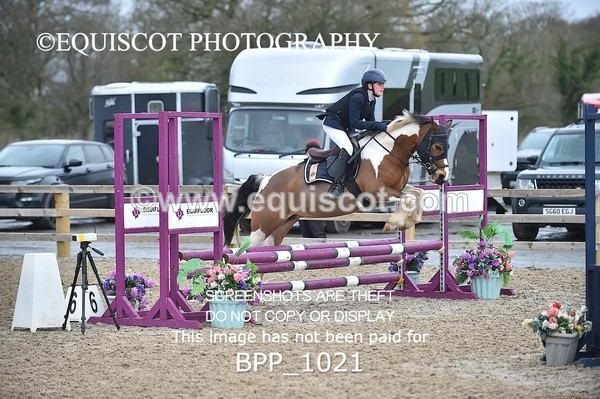 BPP_1021 - CLASS 1 Club/ Unaffiliated 60cms Open