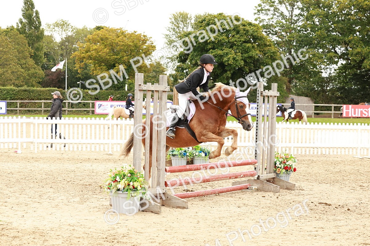 SBM_63779 - J12 - Junior Pony 55cm Championship